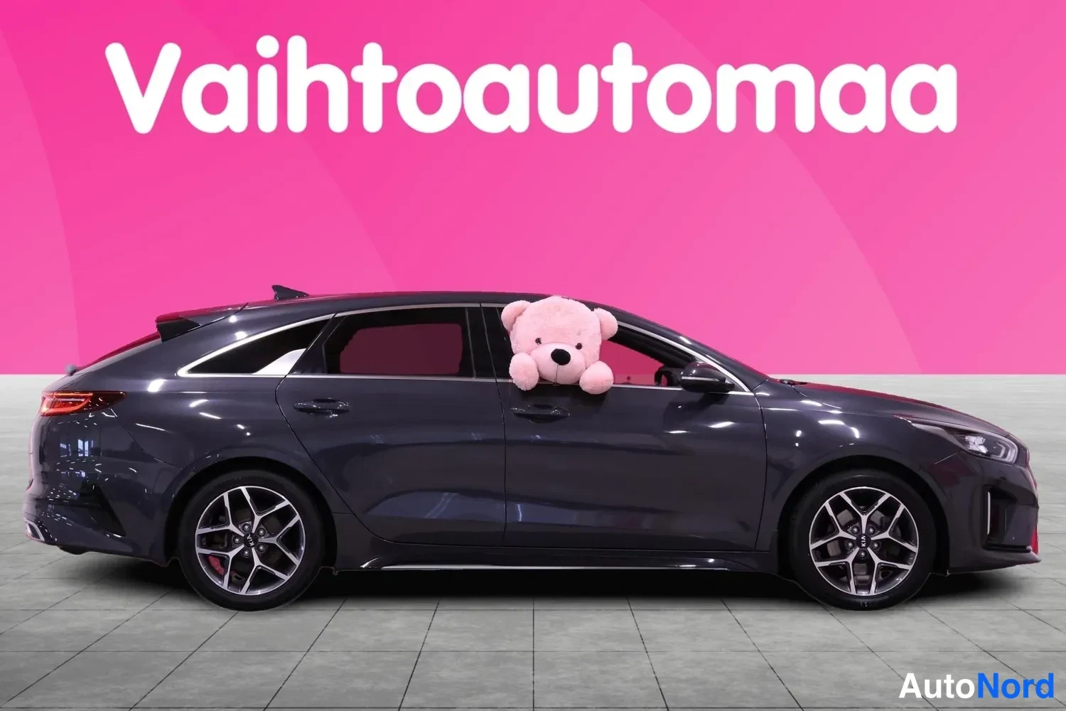 Sivulta: Tummanharmaa Kia ProCeed sivulta, pehmolelu etuikkunasta kurkistamassa.