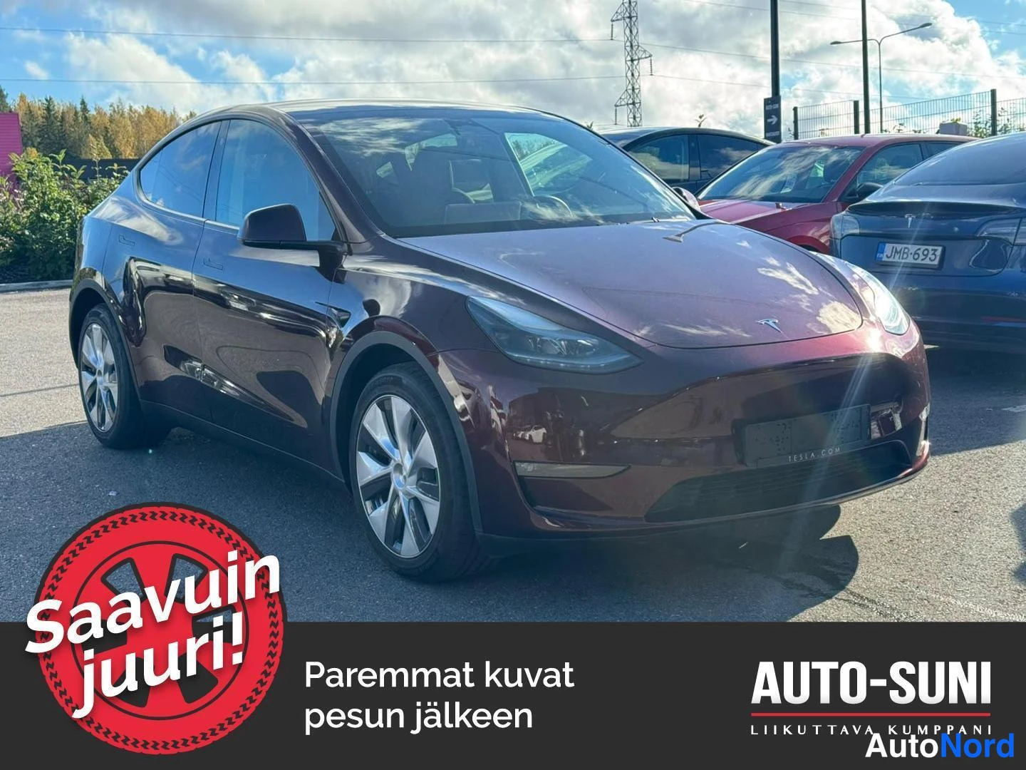 Tesla Model Y Premium Long Range AWD Juniper 2024