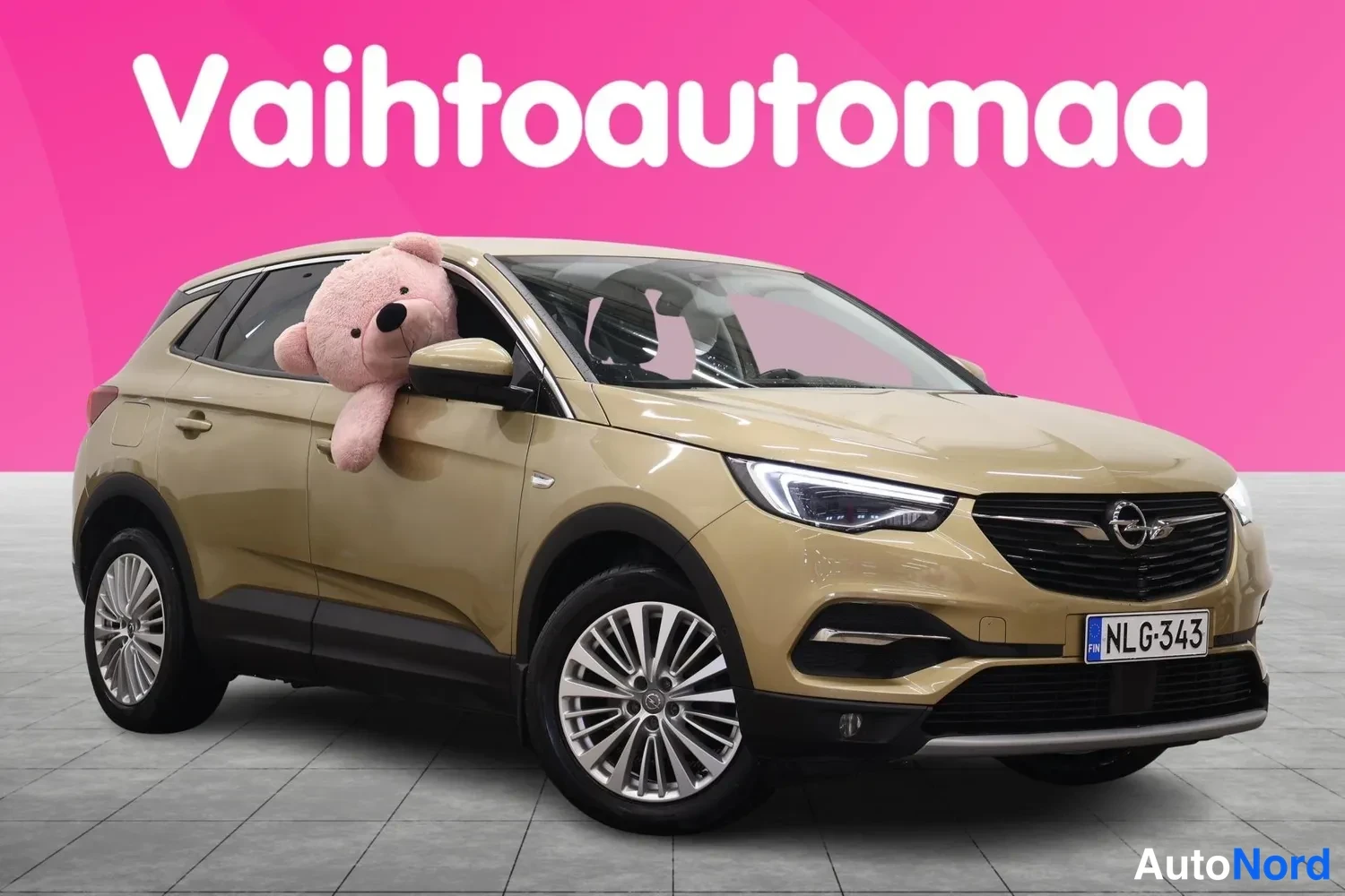 Etuviisto, nokka oikealle: Kultaanvärinen henkilöauto vinosti etukulmasta, keula oikealla, rekisterikilpi, suuri pehmolelu takanapäällä.
