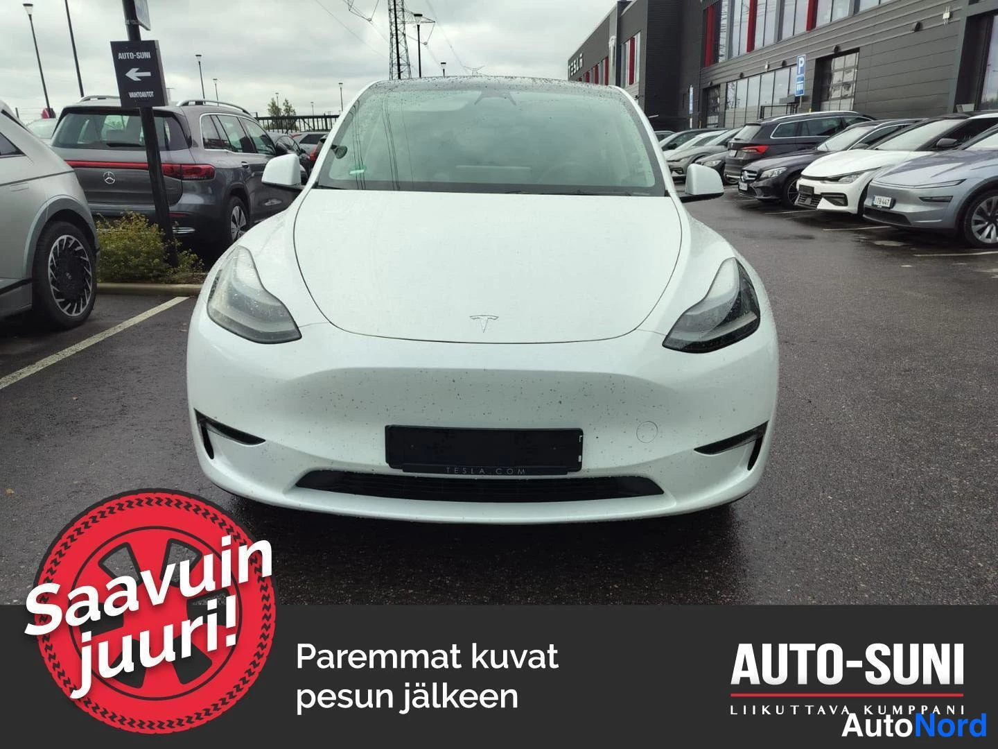 Edestä: Valkoinen Tesla Model Y suora etukuva, keula ja etupuskuri keskellä autopaikalla.