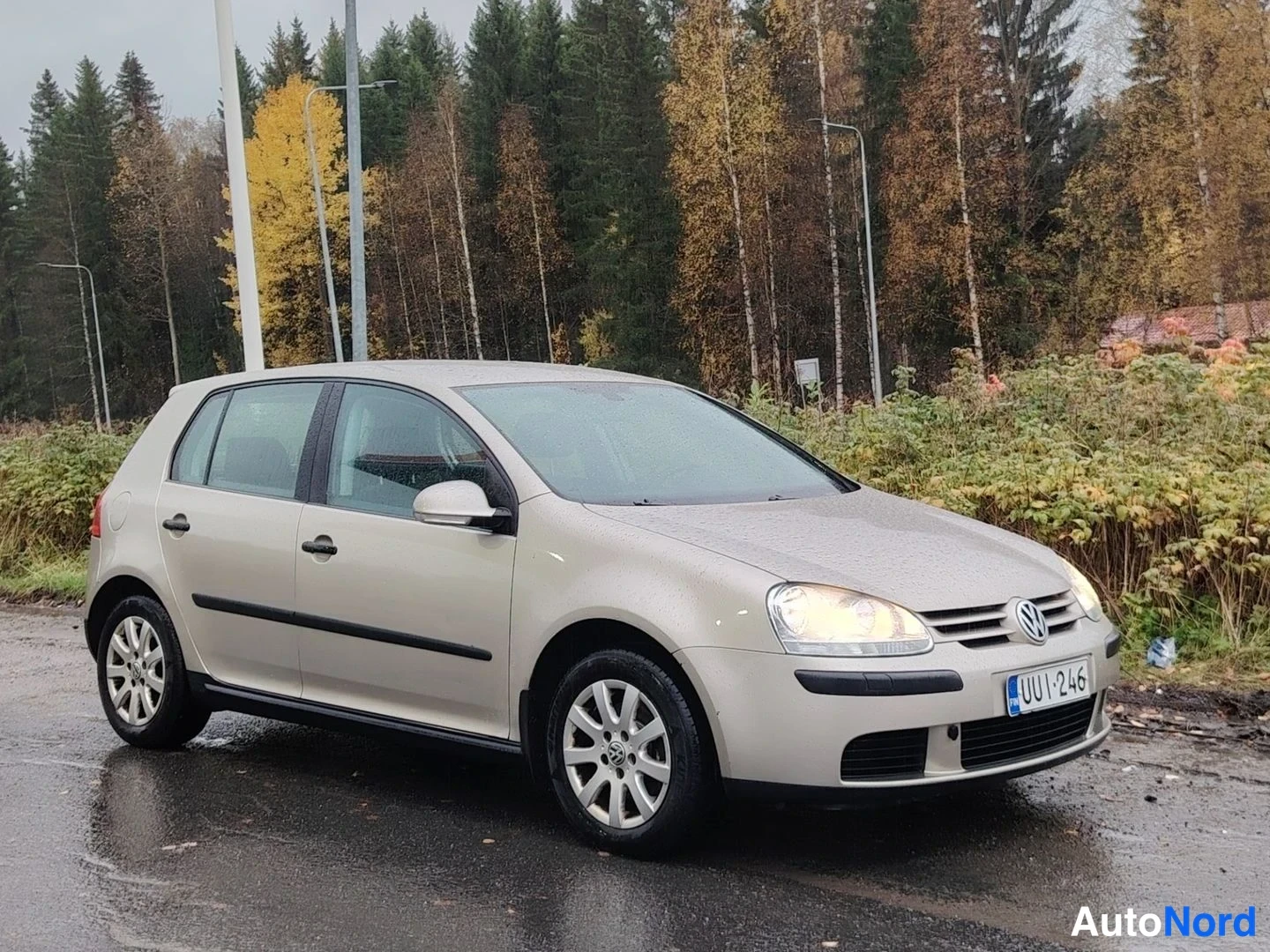 Etuviisto, nokka oikealle: Beige Volkswagen Golf viistoperä etuviistosta oikealta, rekisterikilpi, taustalla syksyinen metsä ja pensaat.