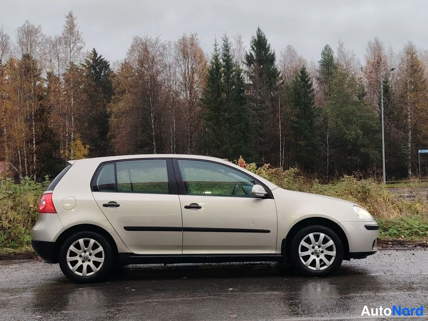 Etuviisto, nokka oikealle: Beige Volkswagen Golf viistoperä sivulta vasemmalta, etuvalo ja kylki näkyvissä, taustalla metsä ja sateinen tie.