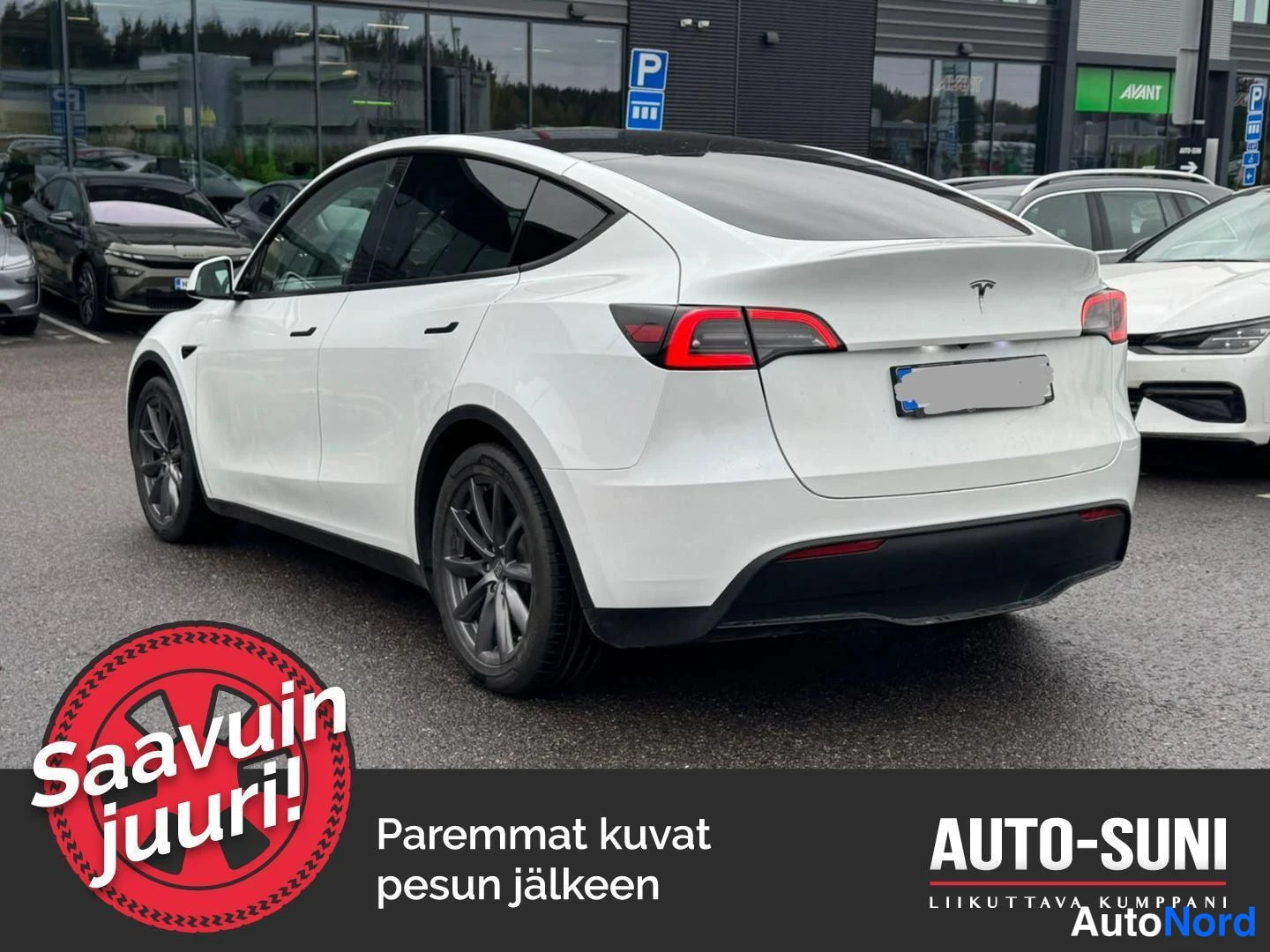 Takaviisto: Valkoinen Tesla Model Y takakulmasta kuvattuna; perävalot ja tavaratilan luukku näkyvät.