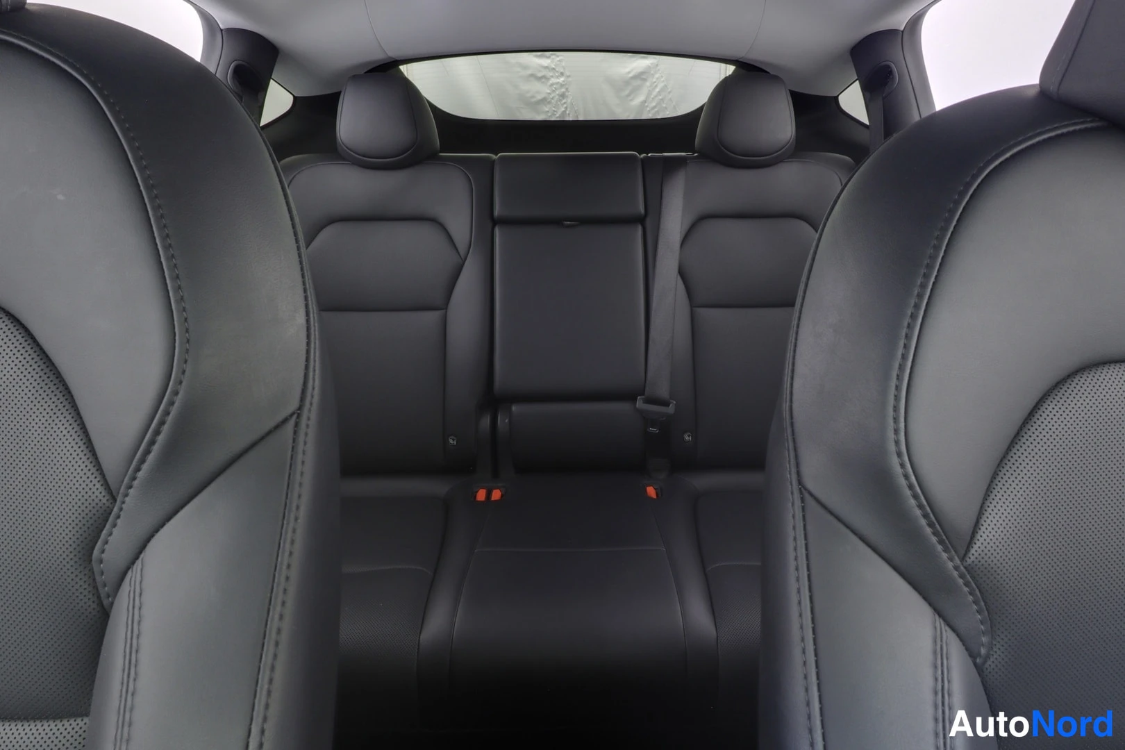 Hopea Tesla Model Y 2025, yksityiskohta, kuva 10