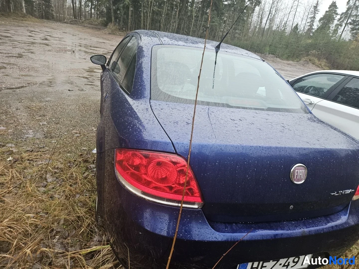 Takaviisto: Tummansinisen Fiat Linean takaosa kolme-neljännestä vasemmalta sateessa, FIAT-merkki ja rekisterikilpi näkyvissä.