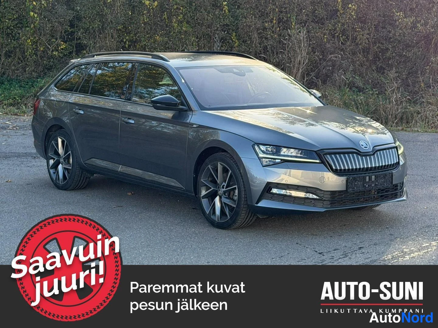 Etuviisto, nokka oikealle: Harmaa farmiauto etuviistosta oikealta: keula ja kylki näkyvät katukaistalla, taustalla puita ja pensaikkoa.