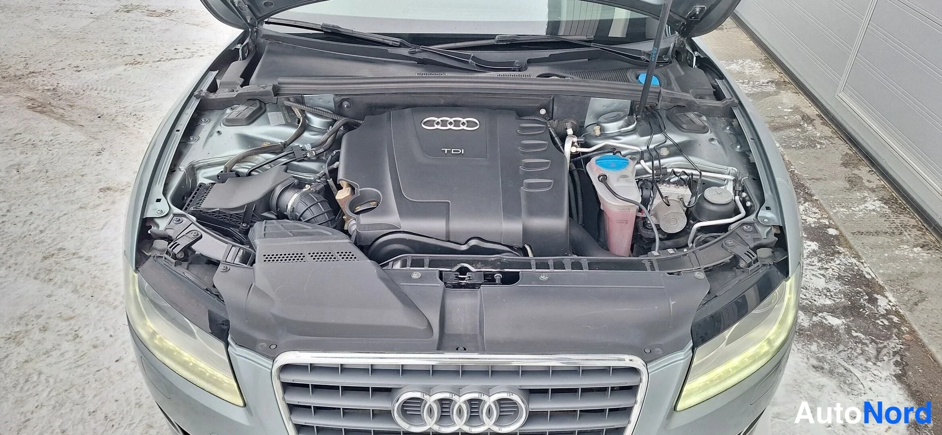 Edestä: Avatun konepellin alta kuvattu moottoritila, jossa on Audi TDI-merkitty tumma moottorinkansi ja kierrejousitettuja ahtopaineputkia.
