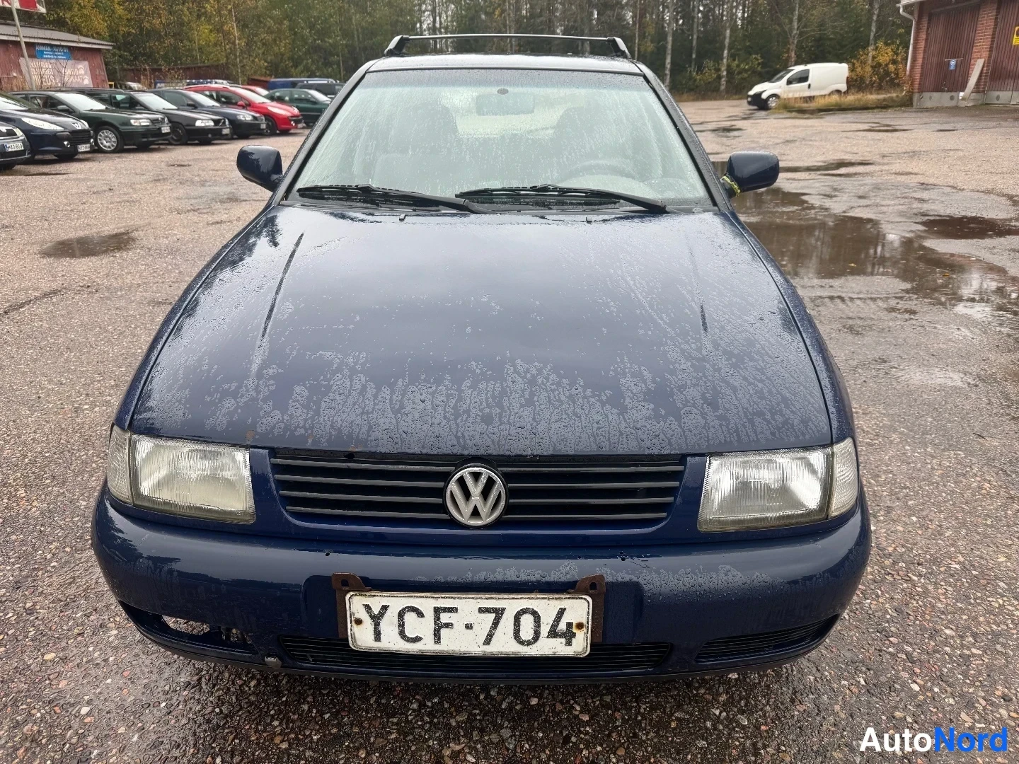 Edestä: Sininen Volkswagen Polo edestä, rekisteritunnus, sadevesipisaroita konepellillä ja tuulilasissa.
