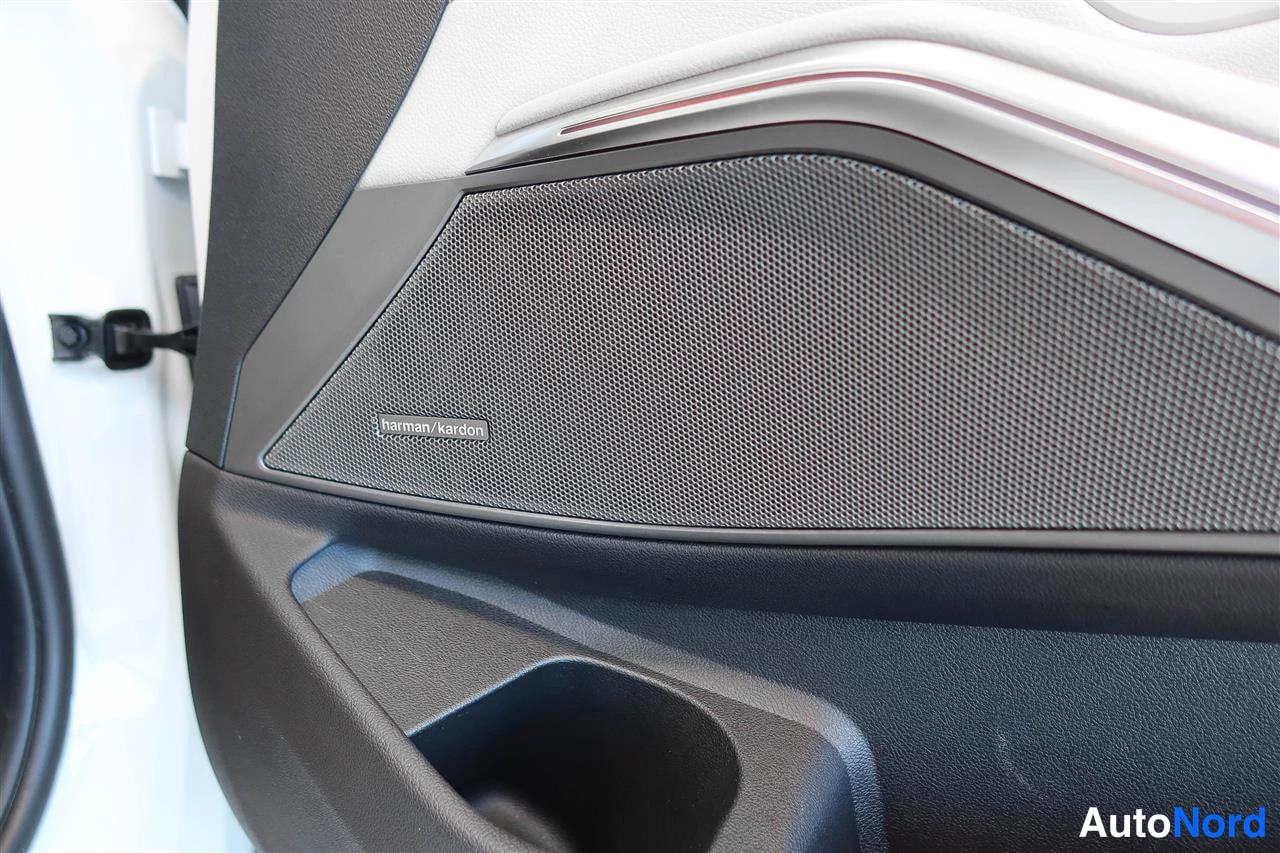 Yksityiskohta: Kohtakuva ovipaneelin kaiuttimesta, jossa harman/kardon-tekstillä varustettu kilpi.