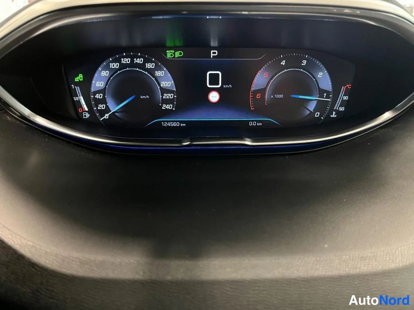 Edestä: Digitaalinen mittaristo näyttää P-vaihteen, 124560 km matkamittarin lukeman ja 0 km/h nopeuden.