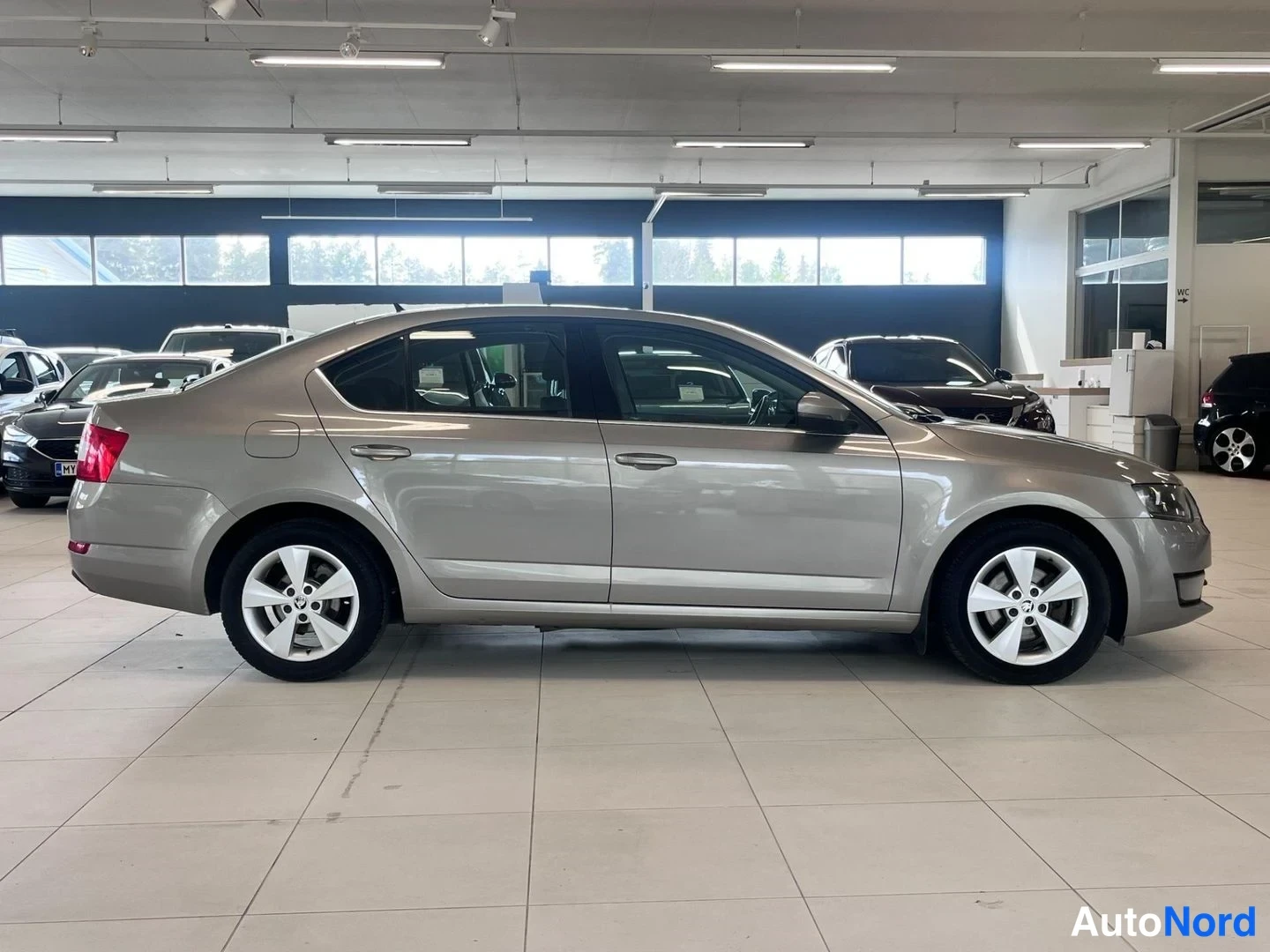 Takaviisto: Beige Skoda Octavia -sedan takakulmasta vasemmalta, pyöränkoteloiden välissä kuvattuna.