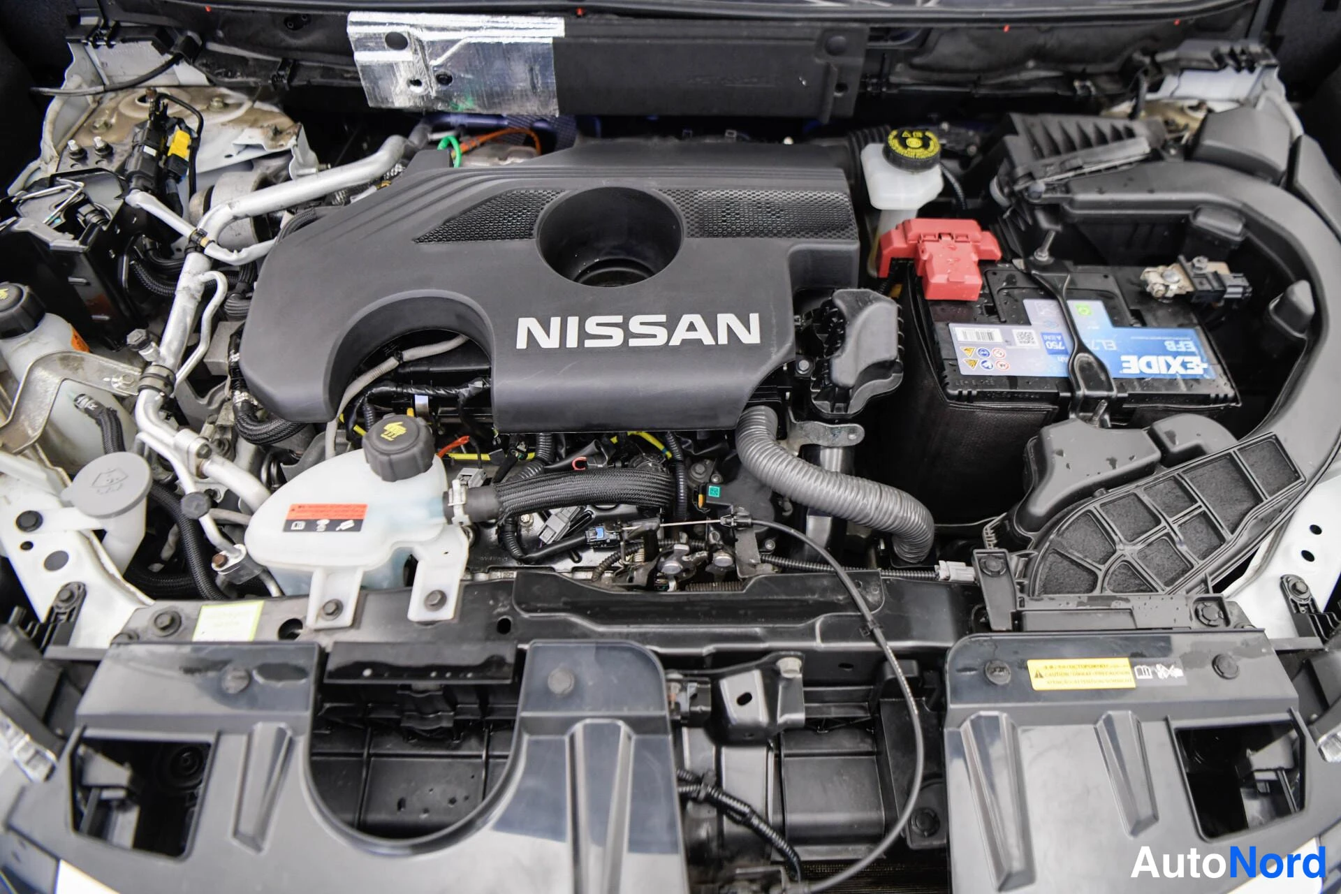 Moottoritila: Moottoritilan yleiskuva; NISSAN-tekstillä varustettu moottorin suojus, Exide-akku, jäähdytysnesteen säiliö ja ilmansuodatinlaatikko näkyvät.