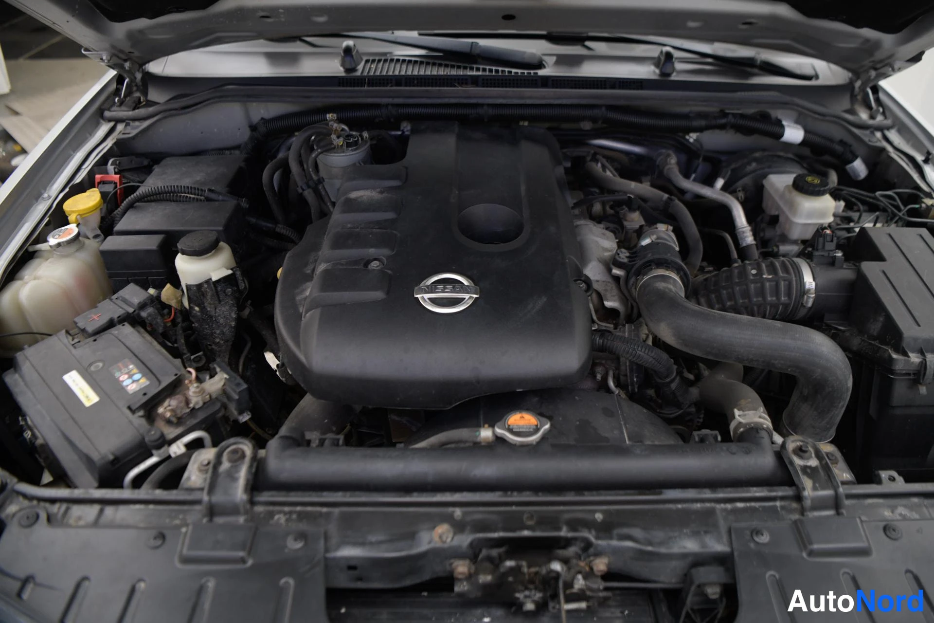 Muu: Auton konepelti auki: Nissan-merkki varmistaa merkin; 2,5-litrainen turbodieselmoottori näkyy mustine suojakilpineen.