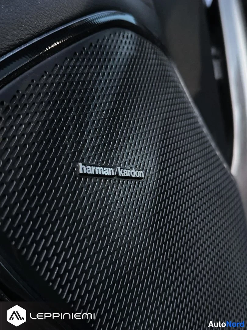 Muu: harman/kardon -kaiuttimen lähikuva ovipaneelissa.