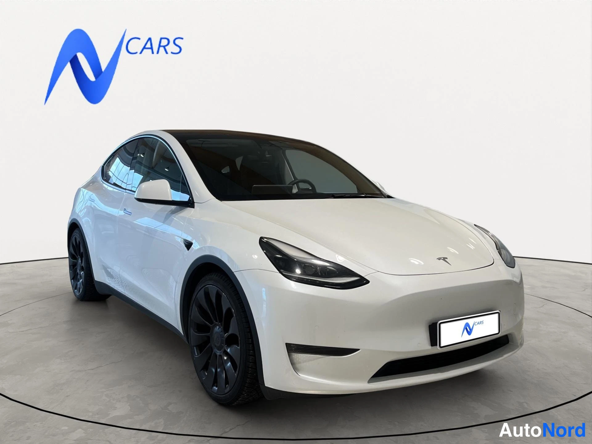 Tesla Model Y Performance 2022