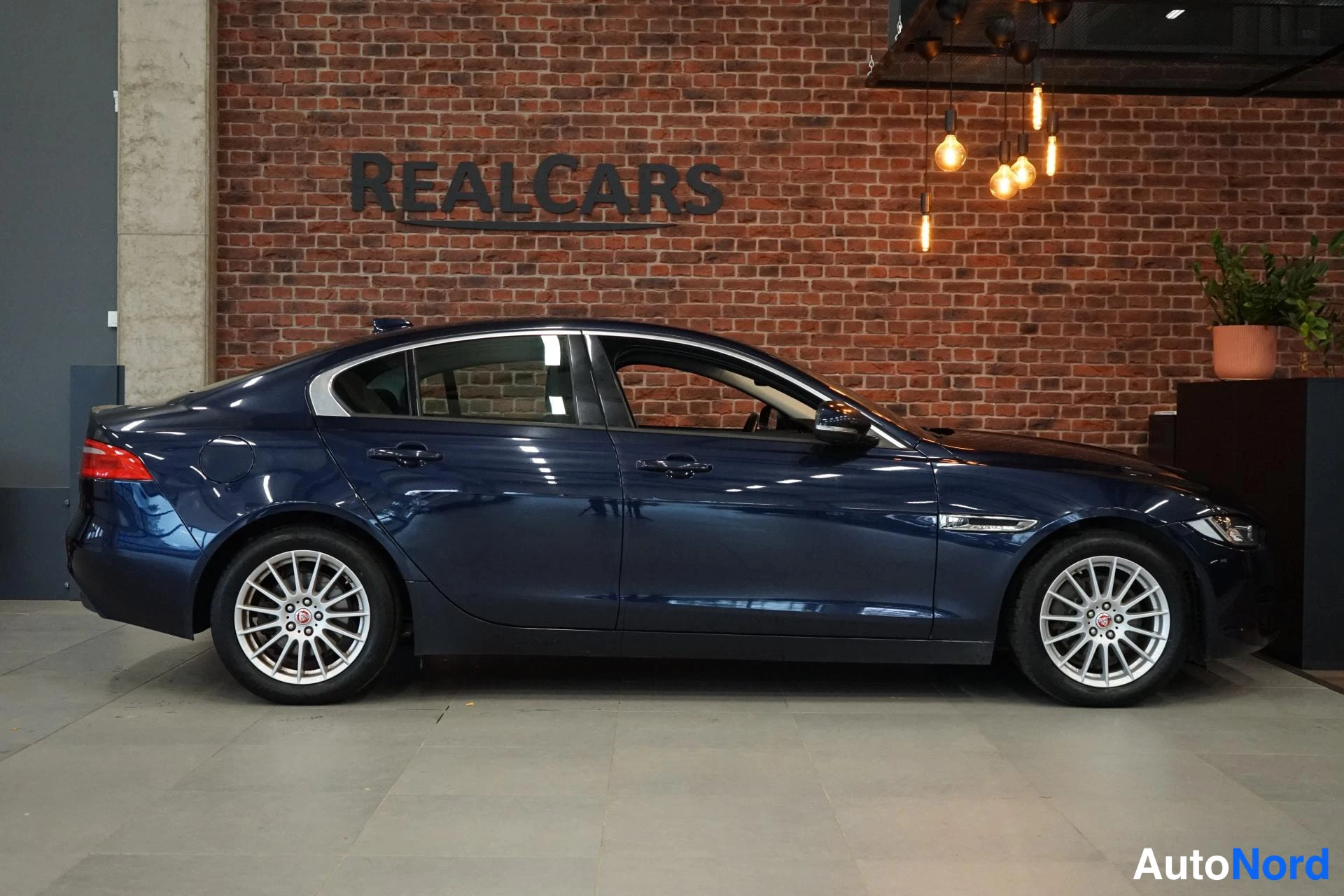 Etuviisto, nokka oikealle: Sivukulmakuva tummansinisestä Jaguar XE -sedanista sisätilassa punatiilisen REALCARS-tunnuksella varustetun seinän edessä.
