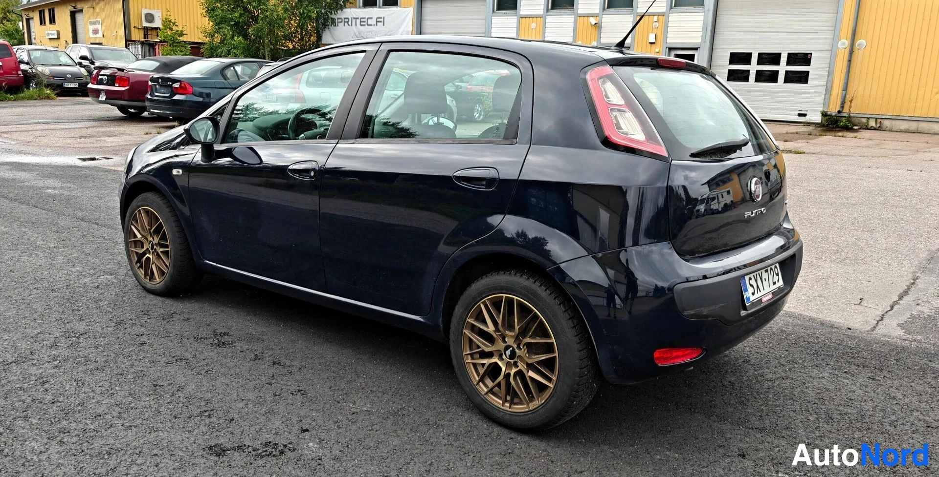 Sininen Fiat Punto Evo 2011, takaviisto, kuva 5