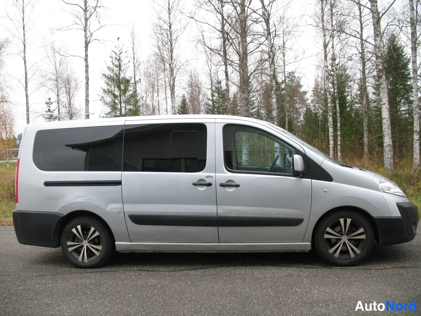Hopea Peugeot Expert 2012, sivulta, kuva 5