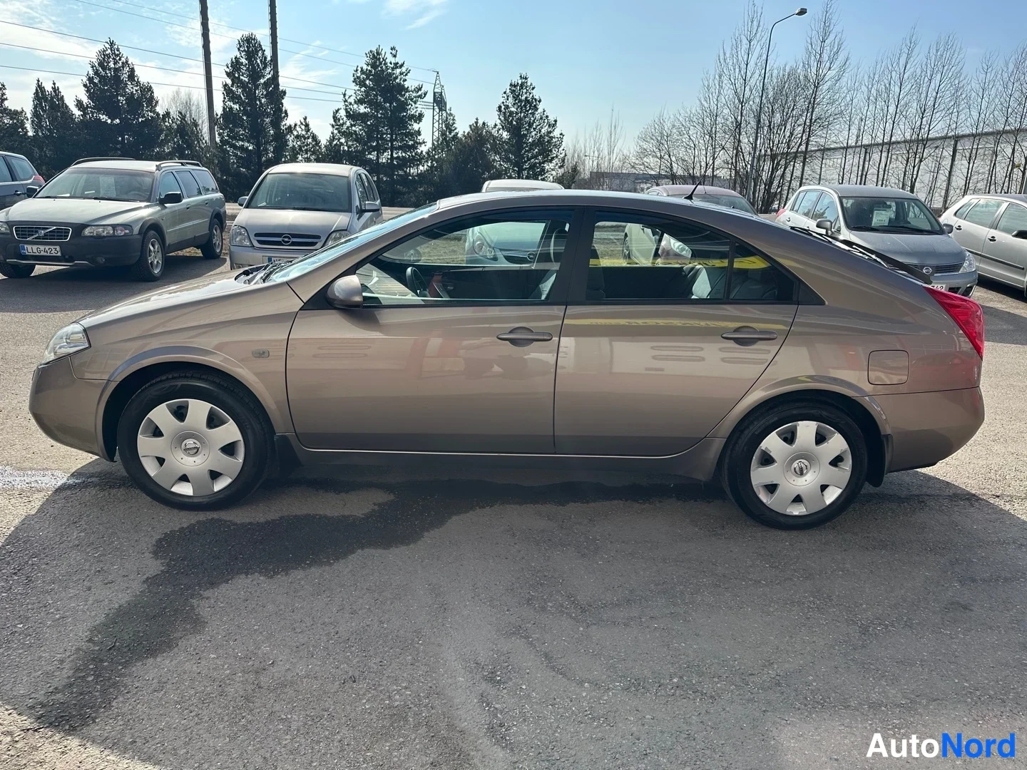 Beige Nissan Primera 2005, takaviisto, kuva 9