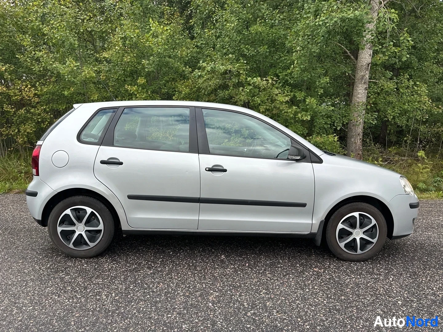 Silver Volkswagen Polo 2008, side, photo 6