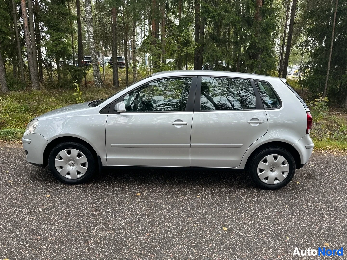 Silver Volkswagen Polo 2007, side, photo 6