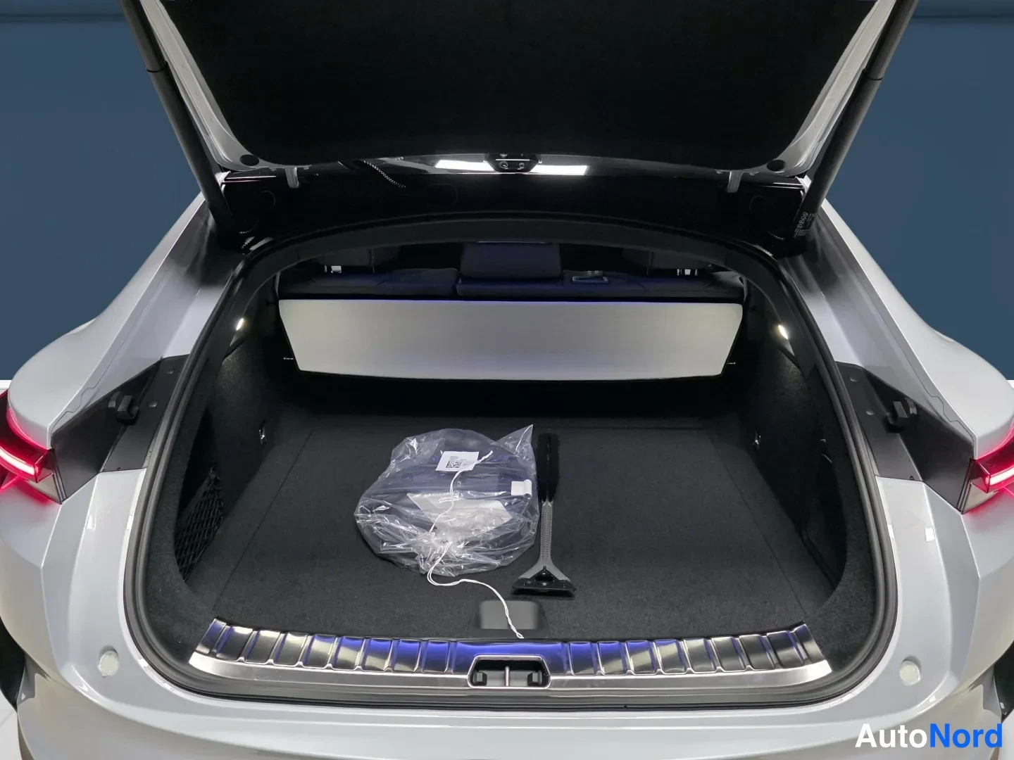 Grey Polestar 4 2026, photo 10