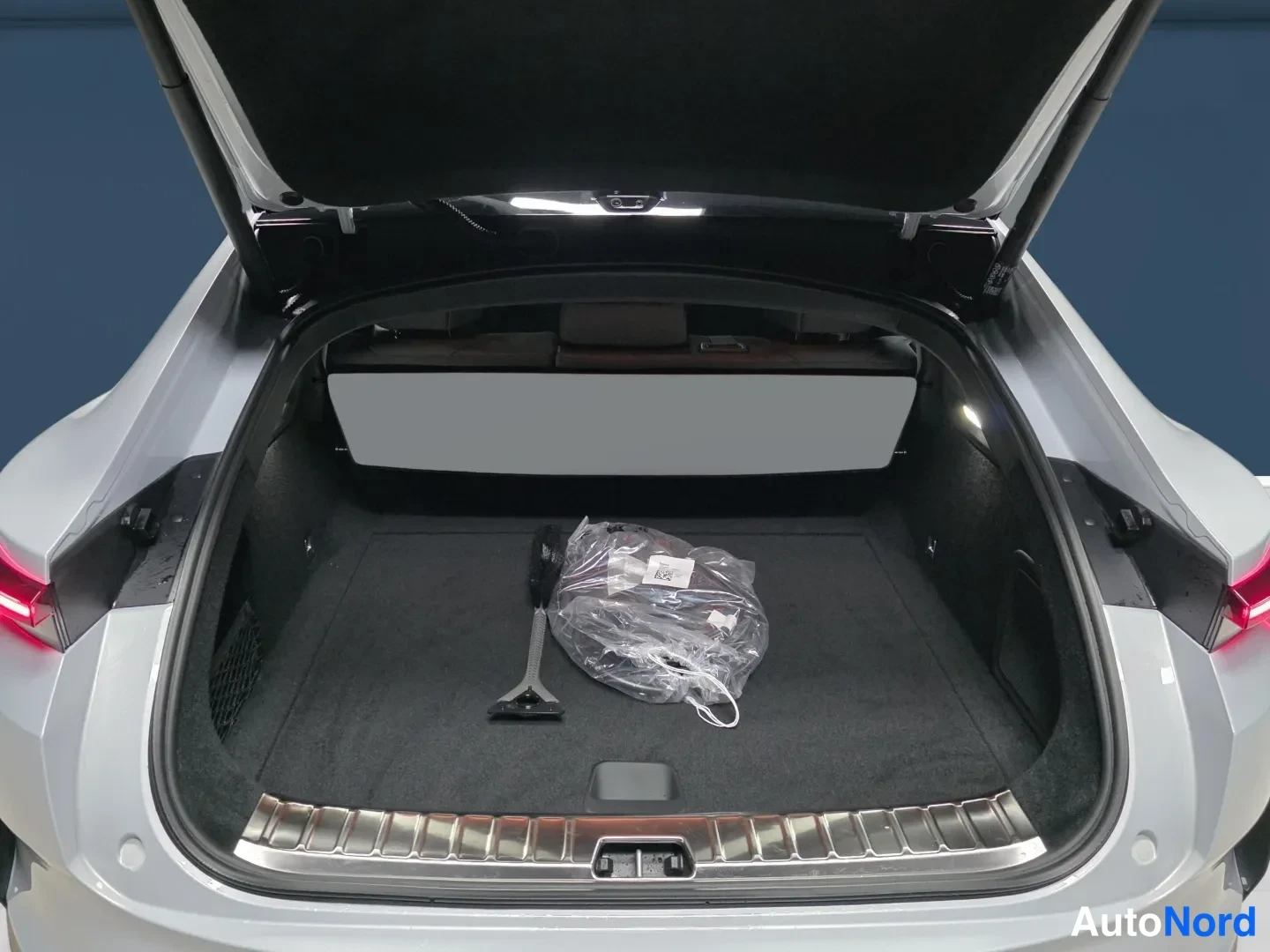 Grey Polestar 4 2026, photo 11