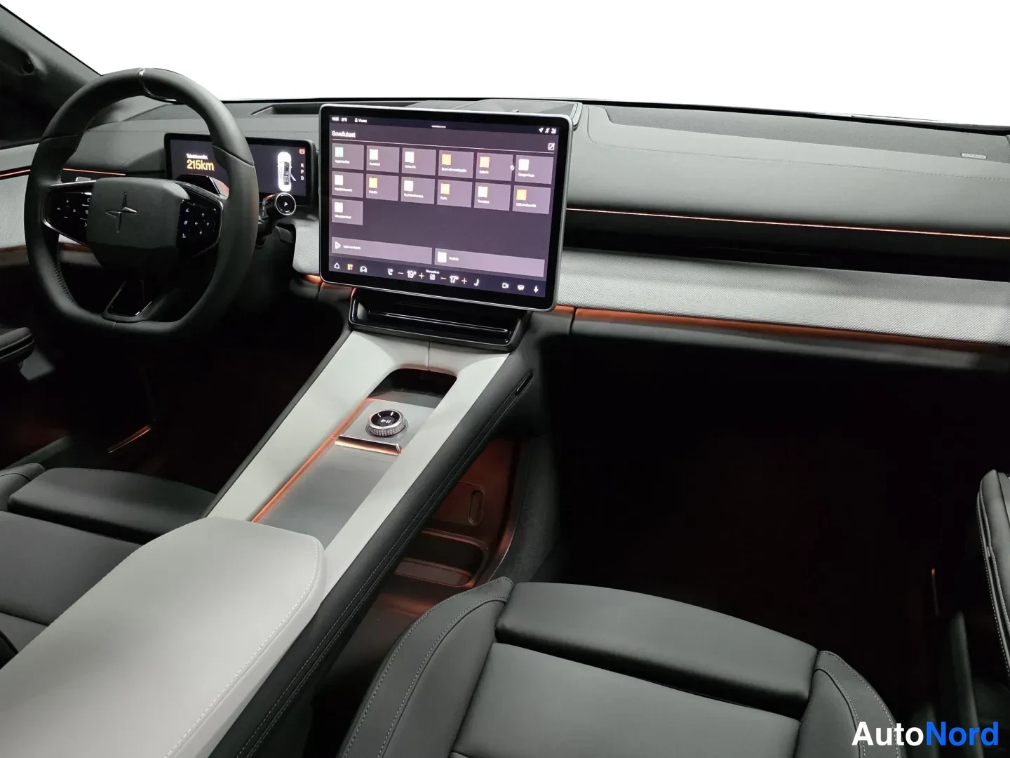 Grey Polestar 4 2026, photo 18