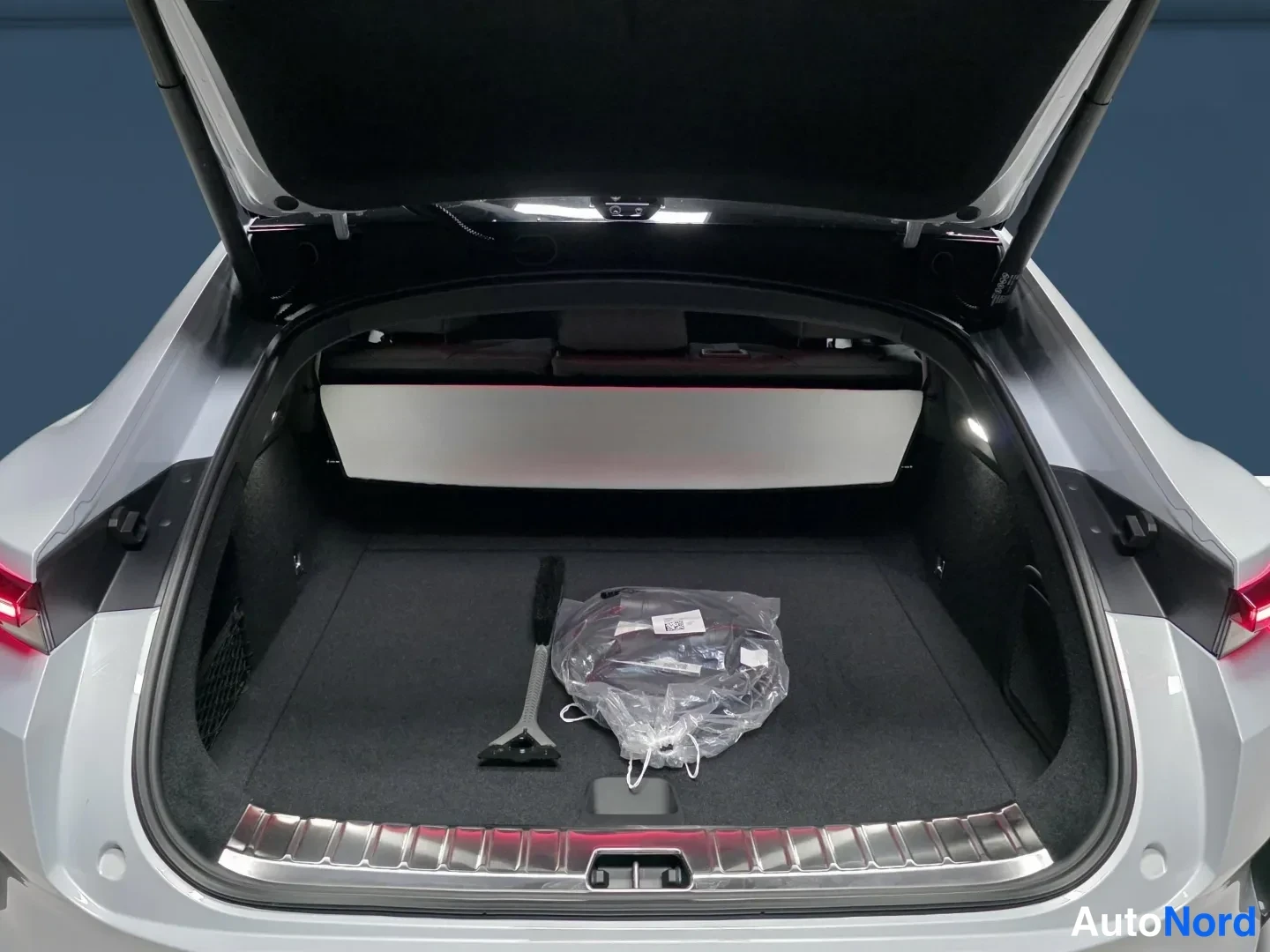 Grey Polestar 4 2026, photo 11