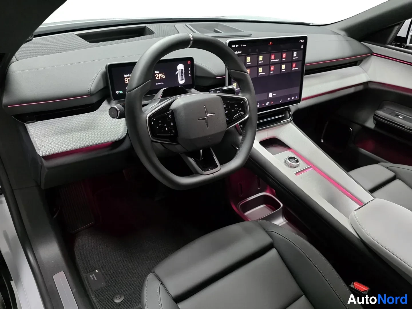 Grey Polestar 4 2026, photo 8