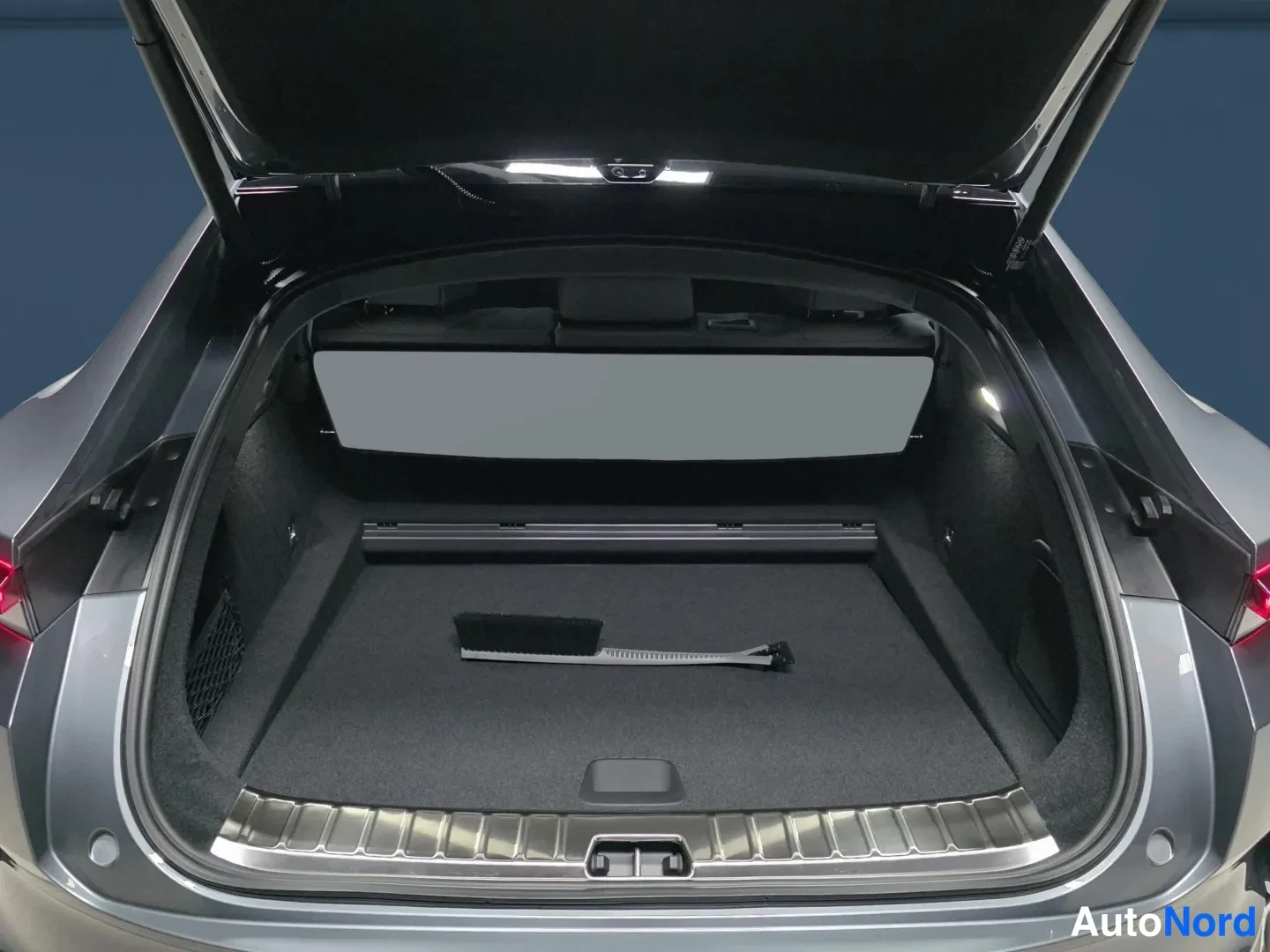 Grey Polestar 4 2026, photo 11