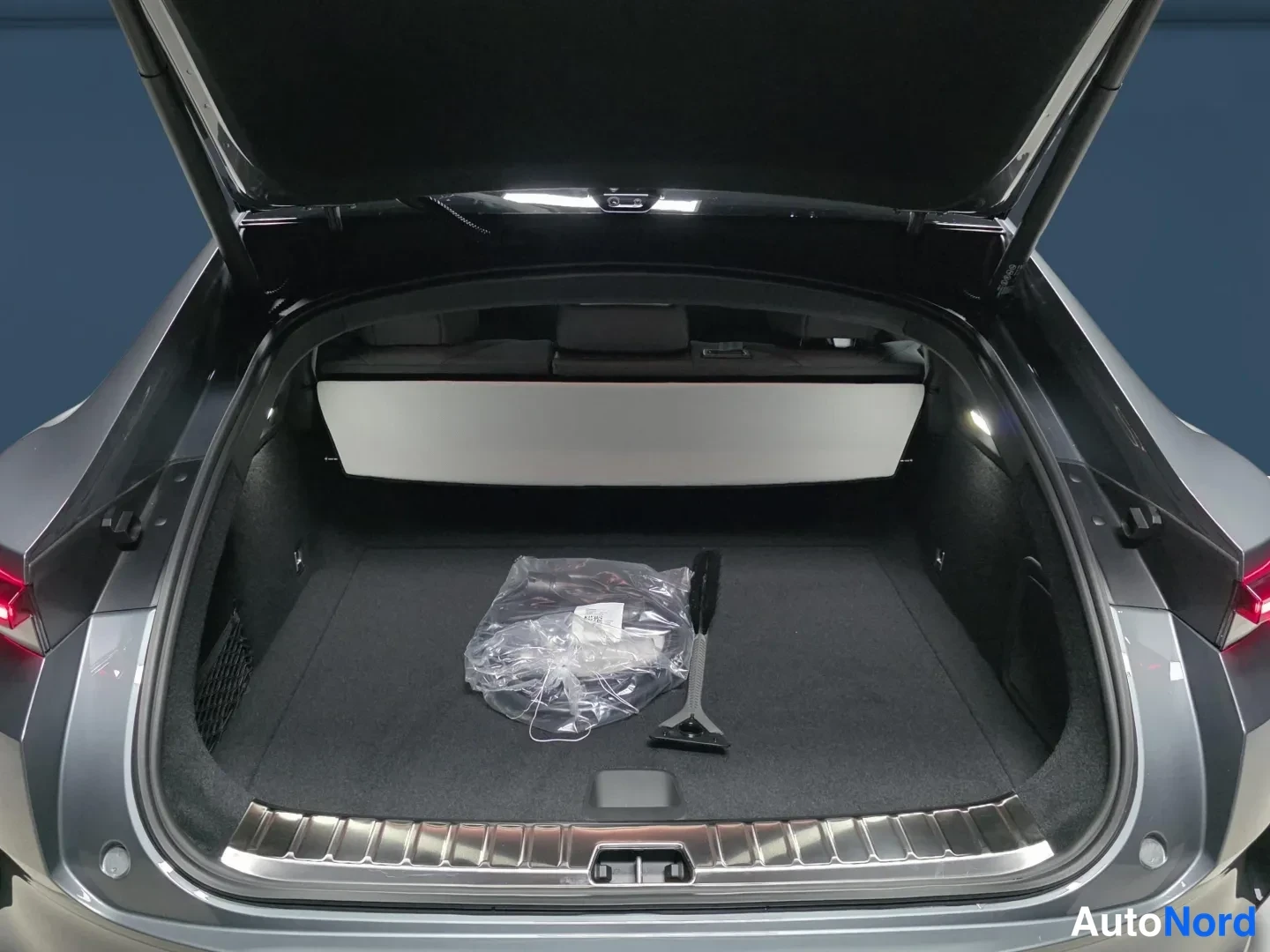 Grey Polestar 4 2026, photo 11