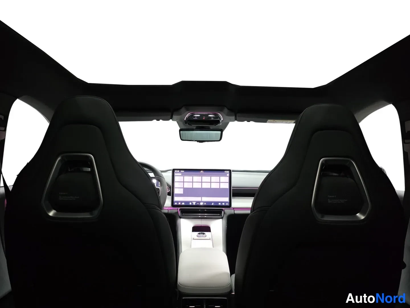 Grey Polestar 4 2026, photo 16