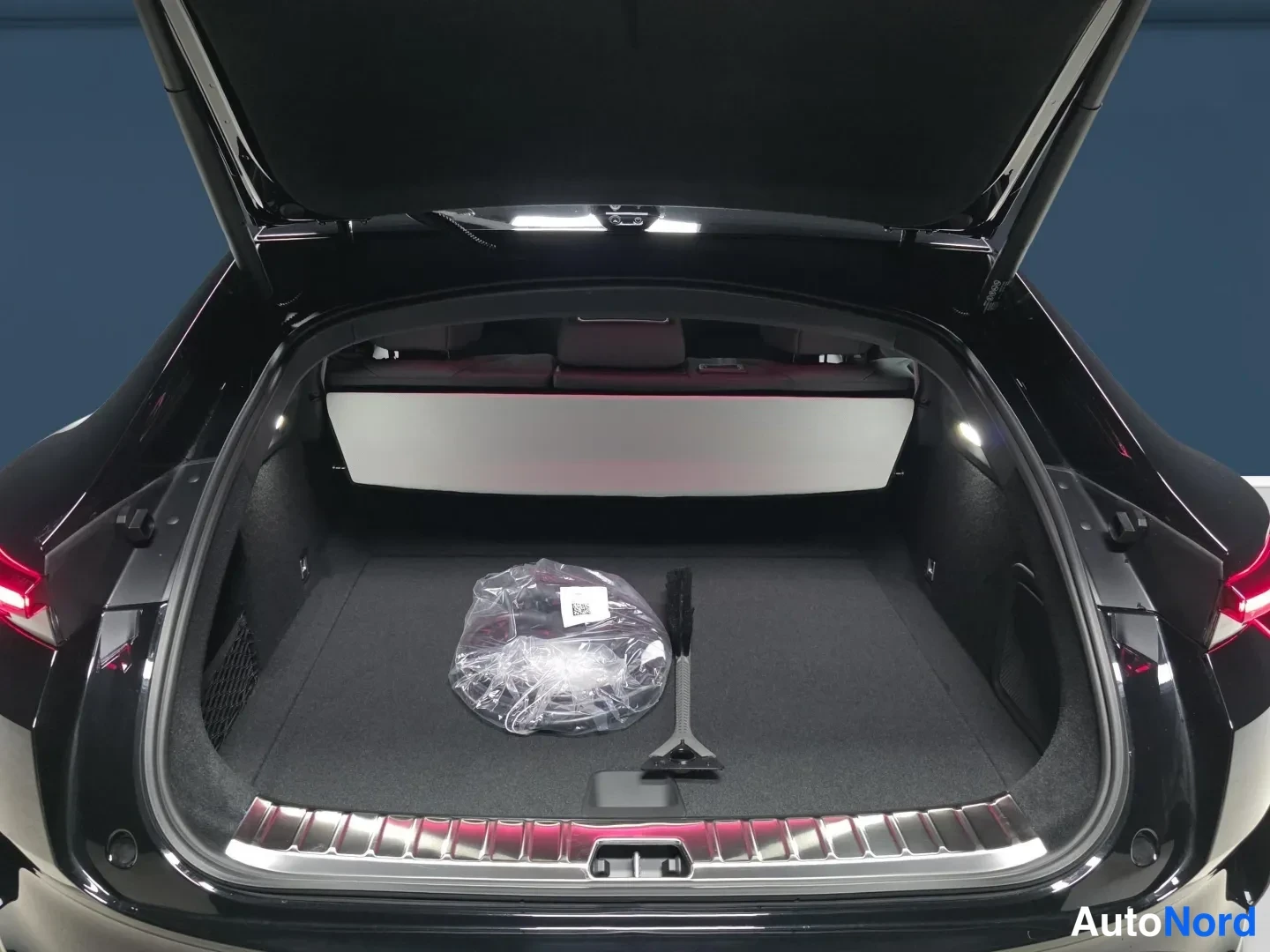 Black Polestar 4 2026, photo 11