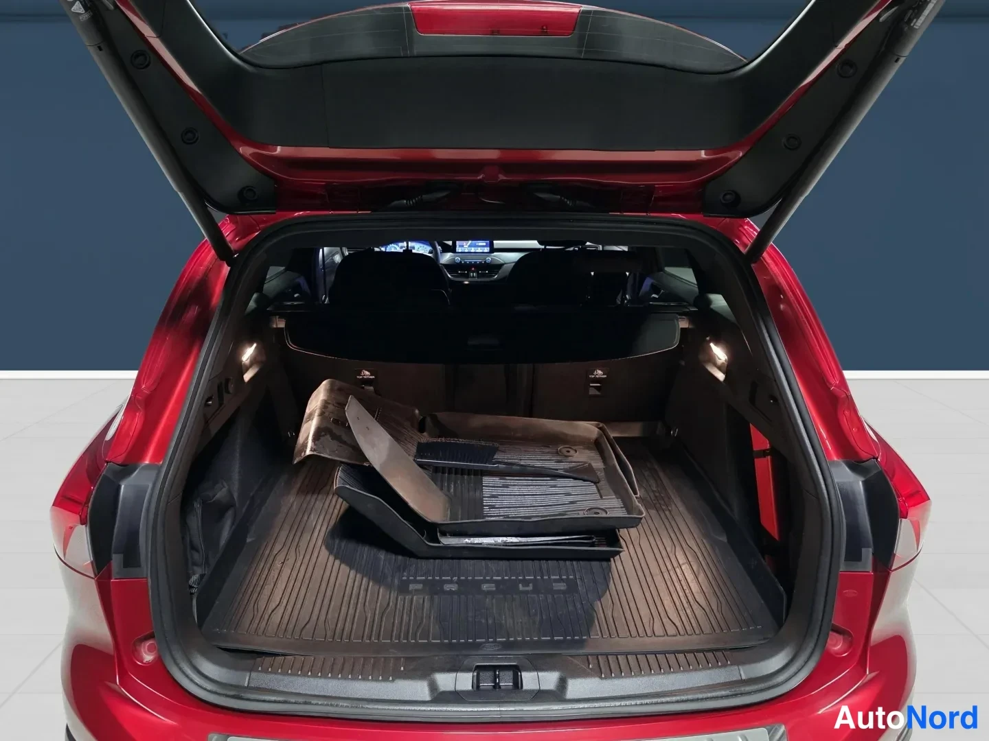 Red Ford Focus 2020, rear, photo 7