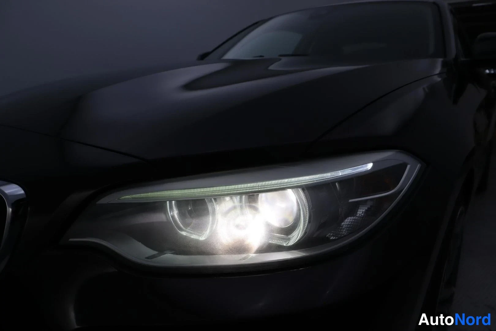 Ruskea BMW 220i 2014, yksityiskohta, kuva 30