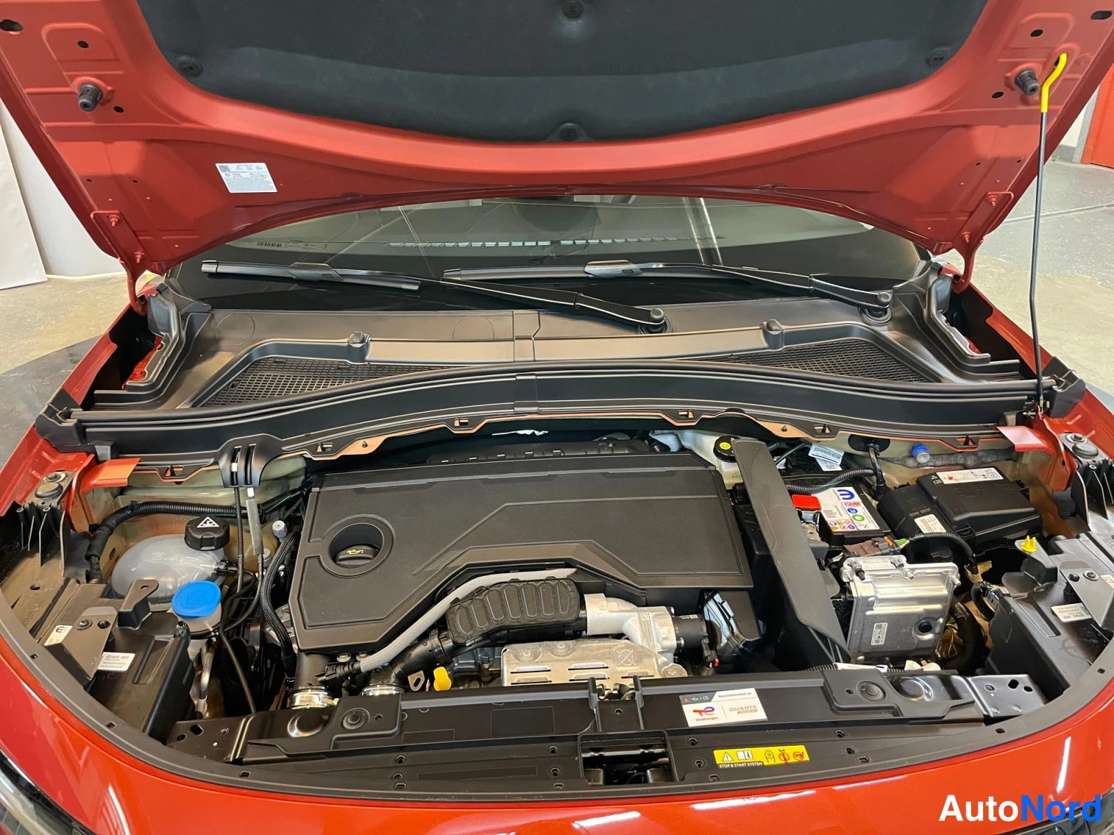 Orange Opel Frontera 2026, photo 19