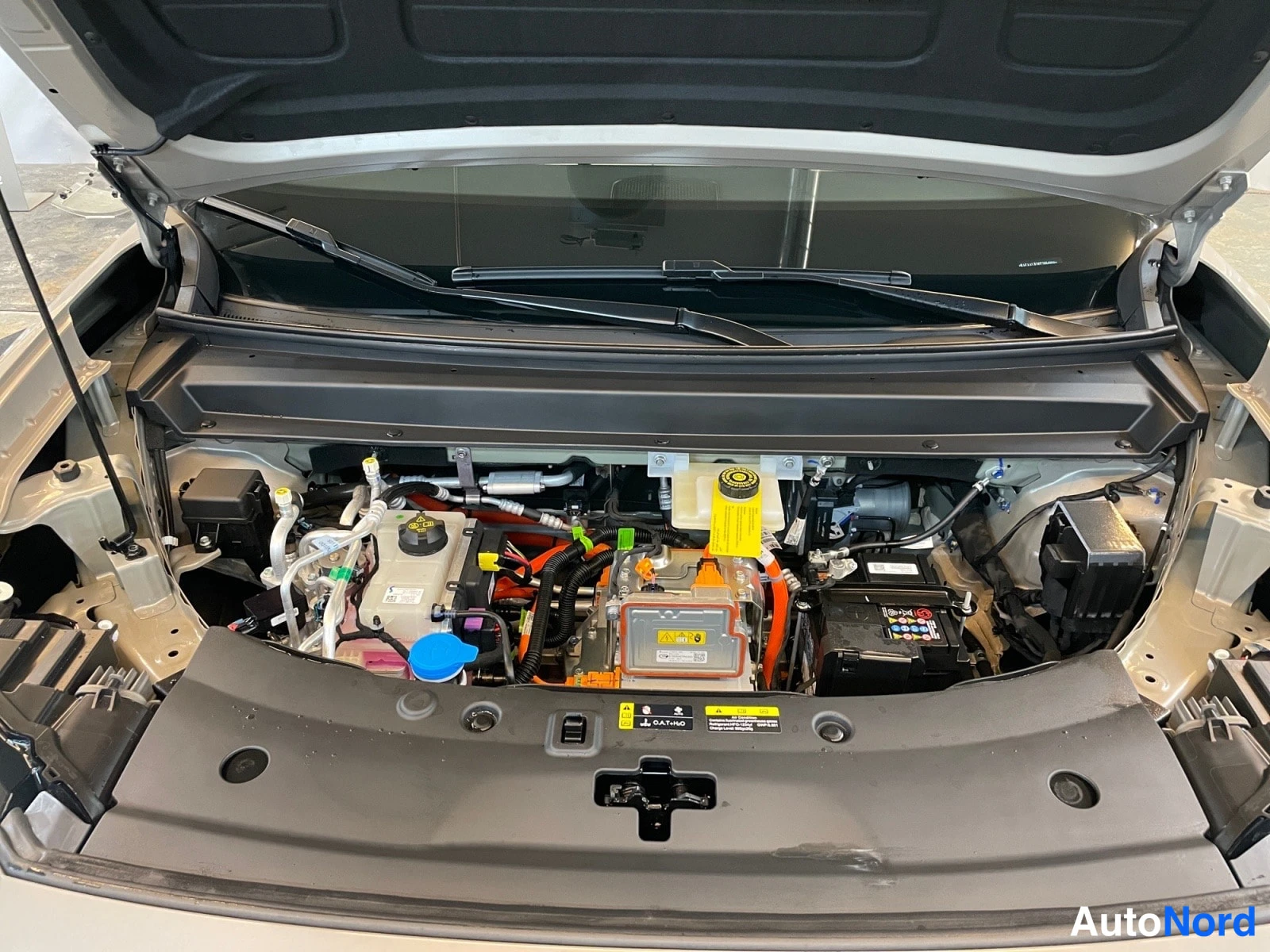 Brown AION V 2026, photo 18