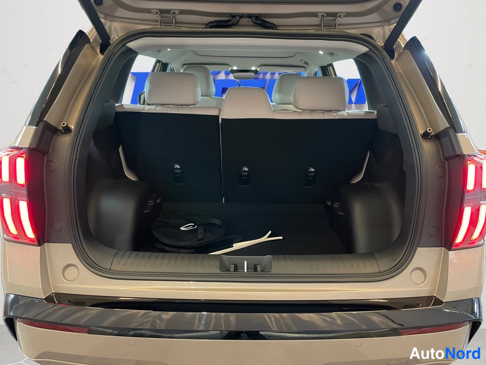 Brown AION V 2026, rear, photo 9