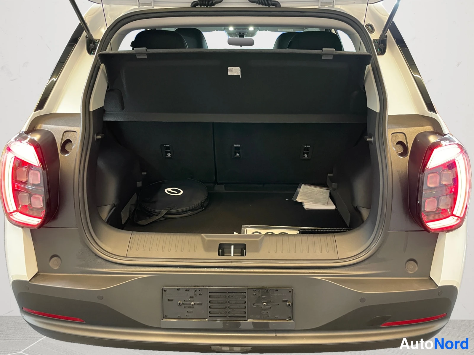 White AION UT 2026, rear, photo 9