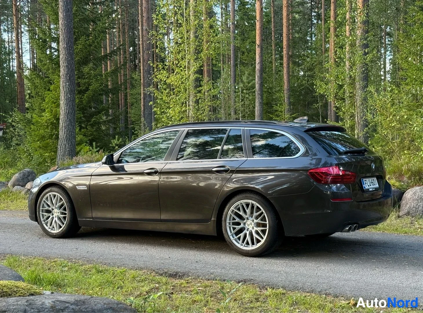 Ruskea BMW 520d xDrive 2015, takaviisto, kuva 6