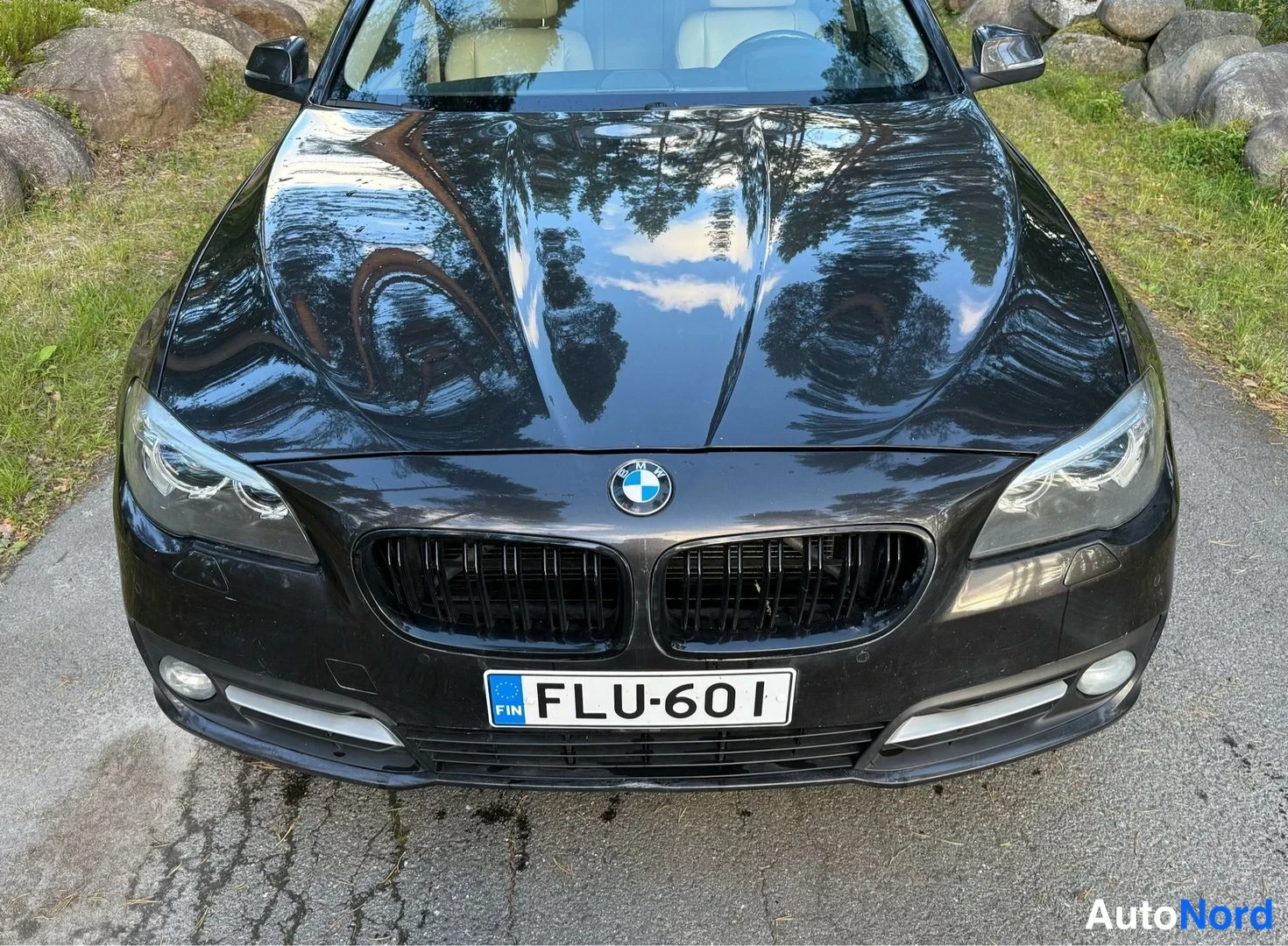 Ruskea BMW 520d xDrive 2015, edestä, kuva 3