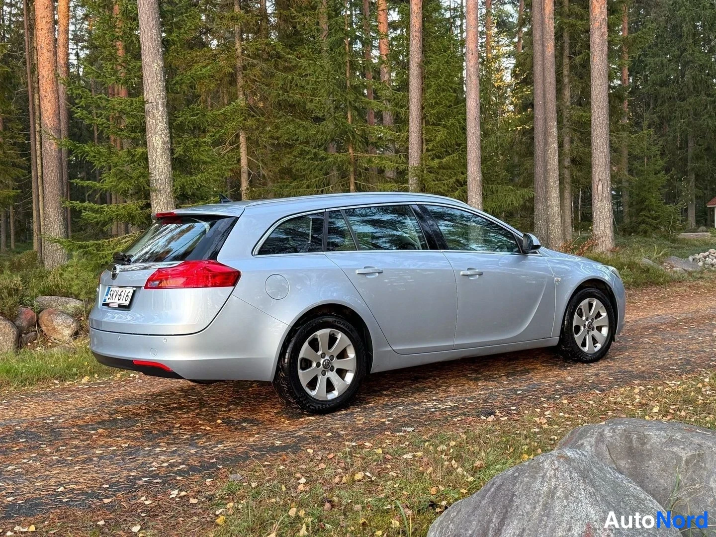 Hopea Opel Insignia Sports Tourer 2013, takaviisto, kuva 8
