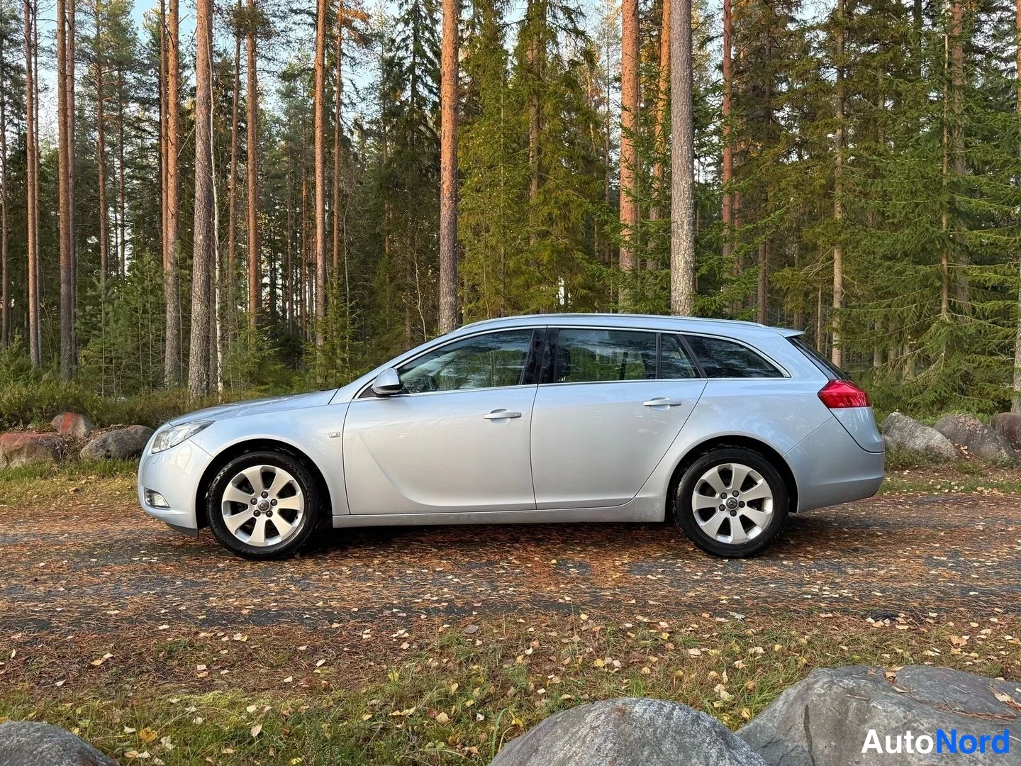 Hopea Opel Insignia Sports Tourer 2013, sivulta, kuva 5