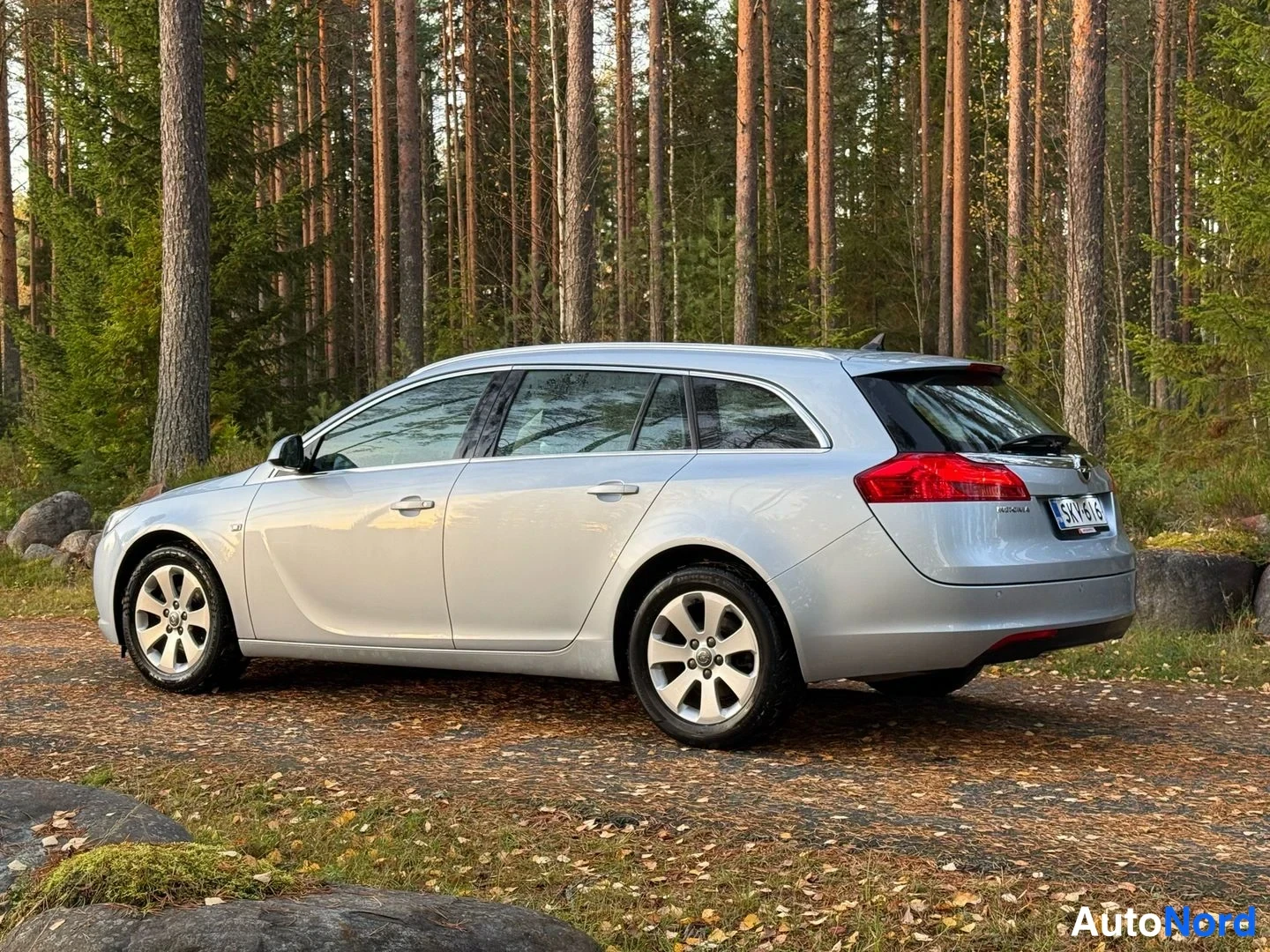 Hopea Opel Insignia Sports Tourer 2013, takaviisto, kuva 9