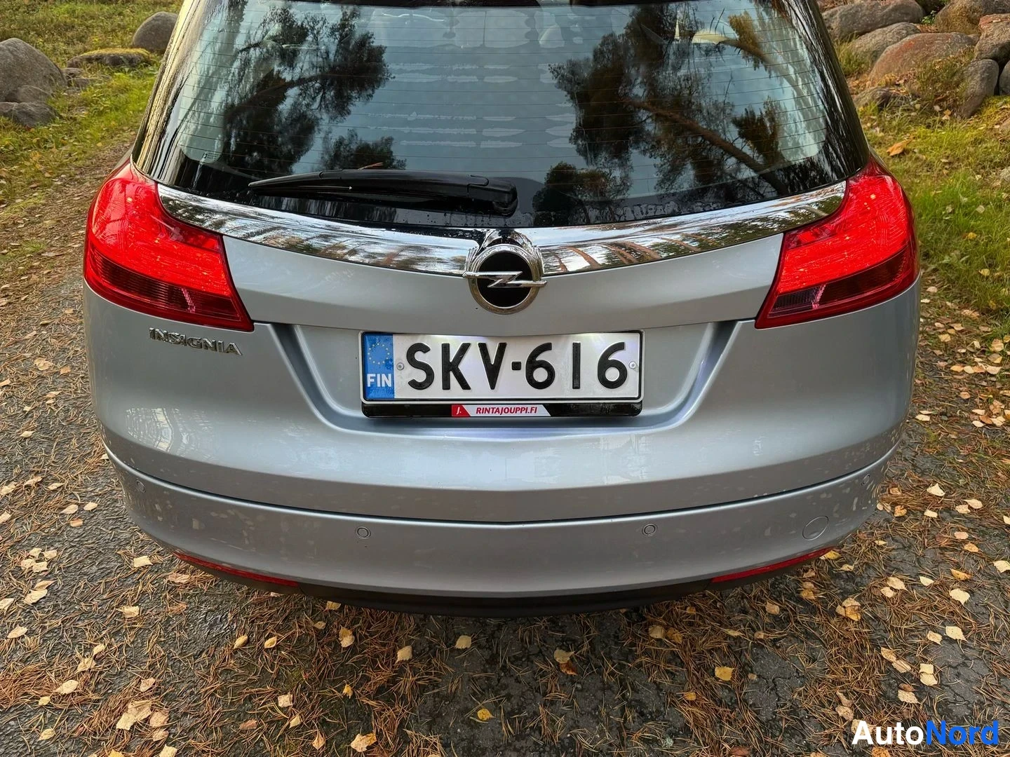 Hopea Opel Insignia Sports Tourer 2013, takaa, kuva 10