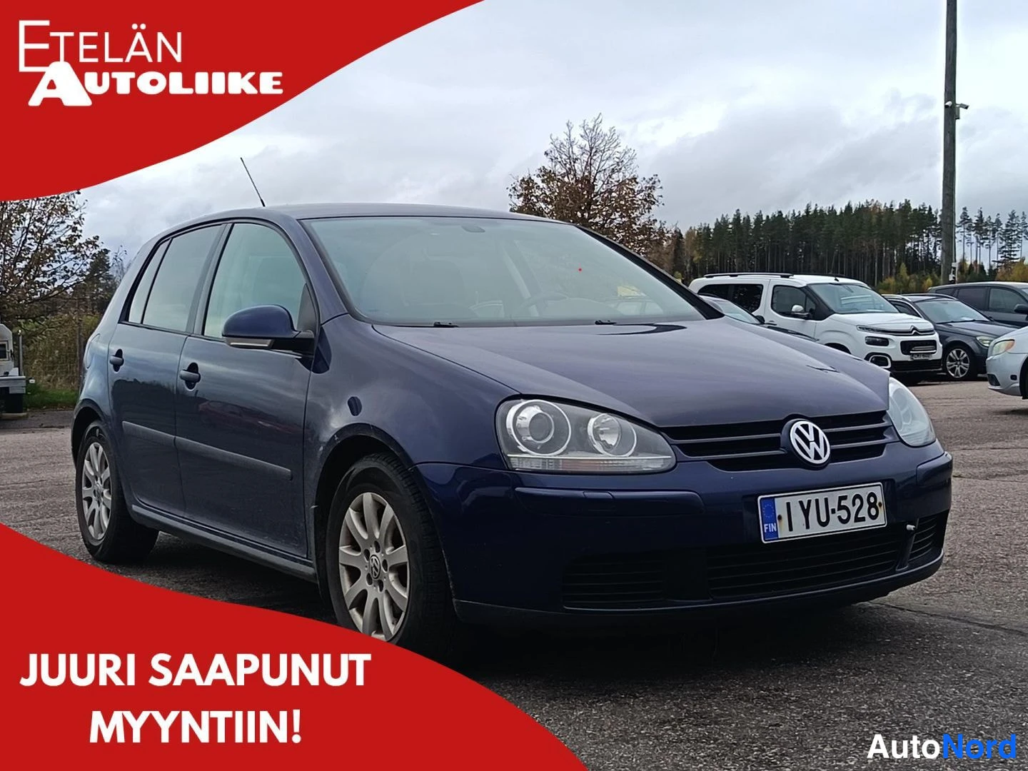 Sininen Volkswagen Golf 2008, kuva 8