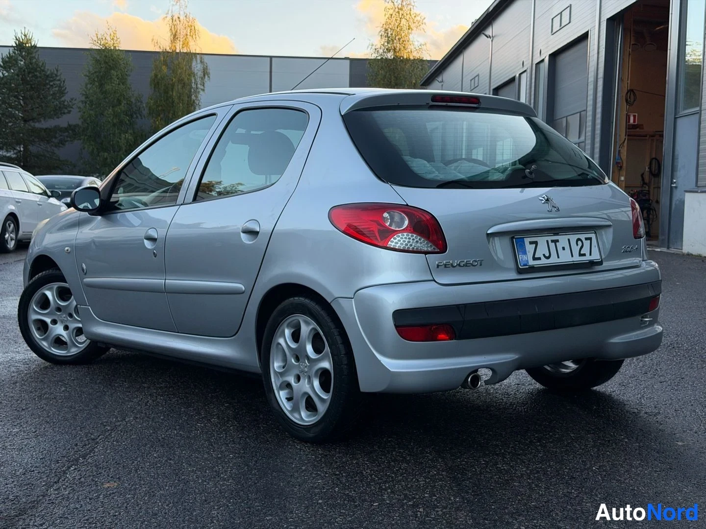 Hopea Peugeot 206+ 2012, takaviisto, kuva 3