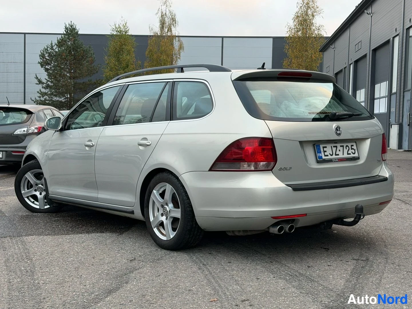 Hopea Volkswagen Golf Variant 2010, takaviisto, kuva 3