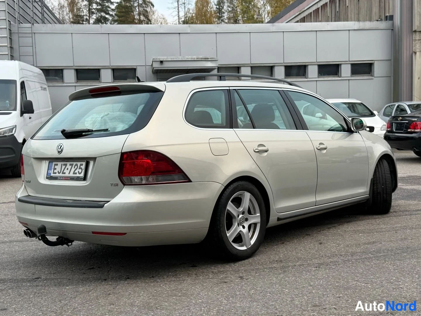 Hopea Volkswagen Golf Variant 2010, takaviisto, kuva 4